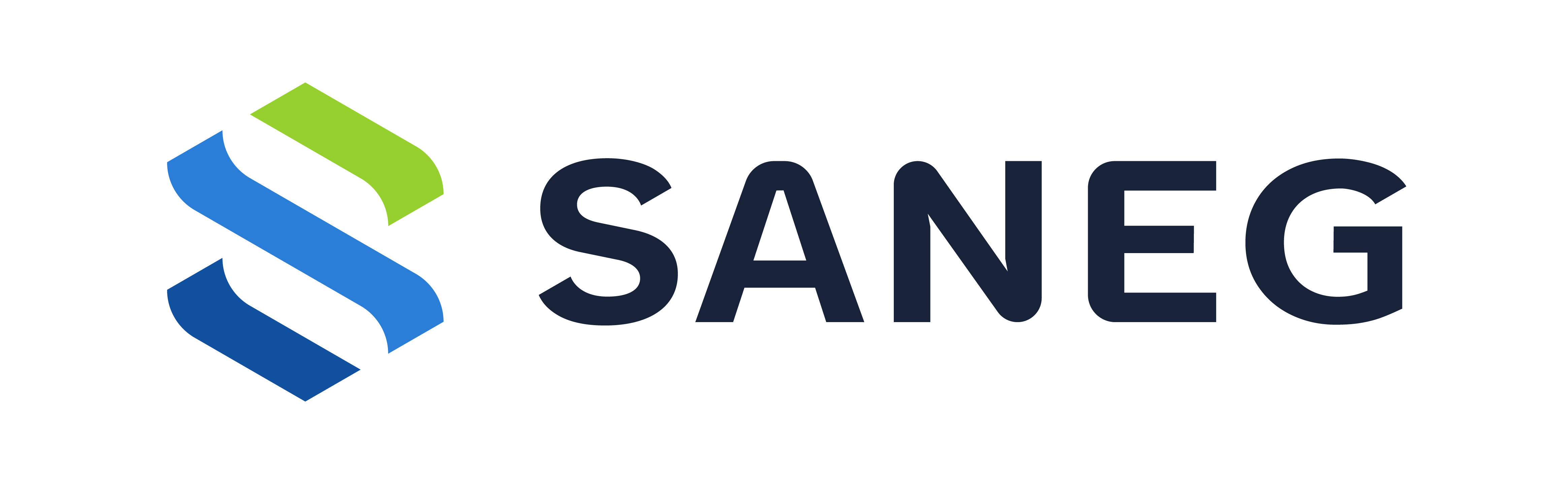 Saneg